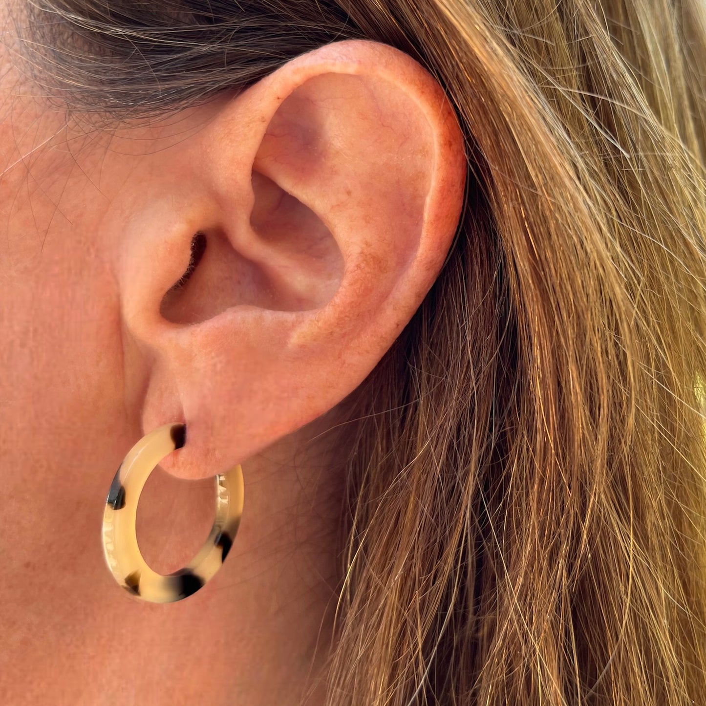 Aros de argolla carey